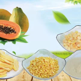 Freeze-Dried Papaya Series – Slices, Diced & Powder for Food Ingredients