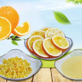 Freeze-Dried Orange Series – Slices, Diced & Powder for Food Ingredients