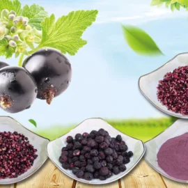 Freeze-Dried Blueberry Series – Whole, Slices, Granules & Powder for Food Ingredients