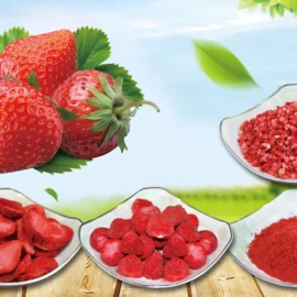 Freeze-Dried Strawberry Series – Whole, Slices, Granules & Powder for Food Ingredients