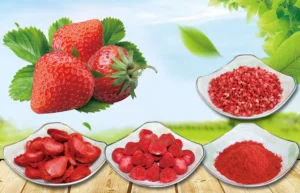 Freeze-Dried Strawberry Series – Whole, Slices, Granules & Powder for Food Ingredients