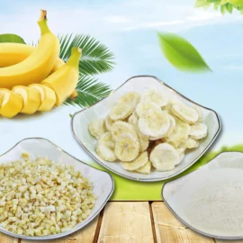 Freeze-Dried Banana Series – Slices, Diced & Powder for Food Ingredients