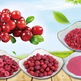 Freeze-Dried Cranberry Series – Whole, Slices, Granules & Powder for Food Ingredients
