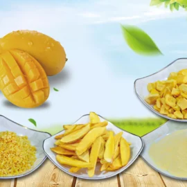 Freeze-Dried Mango Series – Slices, Diced, Granules & Powder for Food Ingredients
