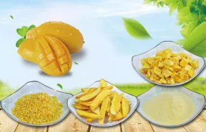 Freeze-Dried Mango Series – Slices, Diced, Granules & Powder for Food Ingredients