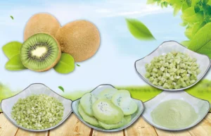 Freeze-Dried Kiwi Series – Slices, Diced, Granules & Powder for Food Ingredients