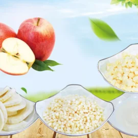 Freeze-Dried Apple Series – Slices, Diced & Powder for Food Ingredients